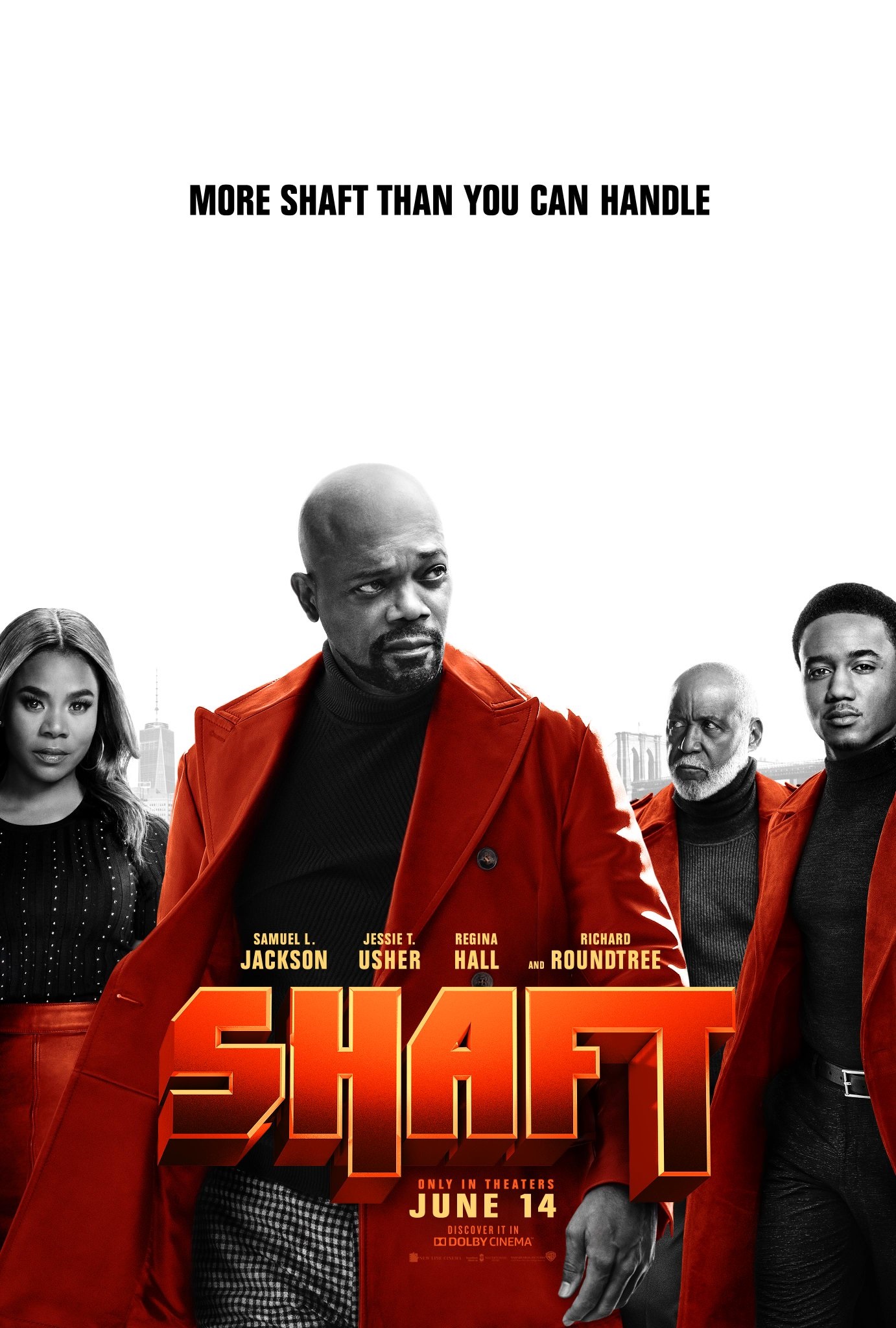 Shaft - Vj Junior