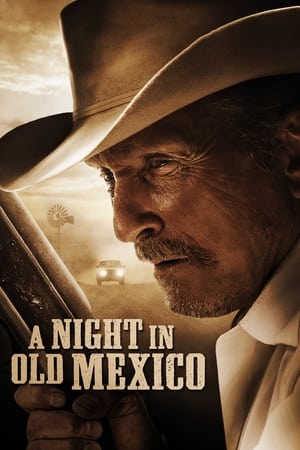 A Night in Old Mexico - Vj Kriss S