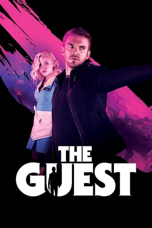 The Guest - Vj Ice P