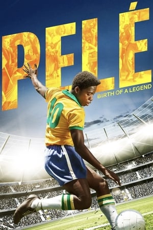 Pelé: Birth of a Legend by Vj Junior