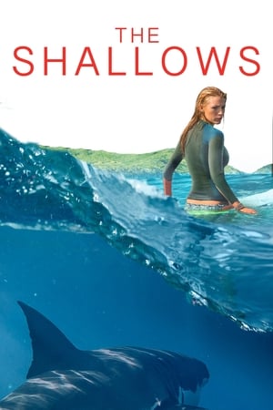 The Shallows - Vj Junior