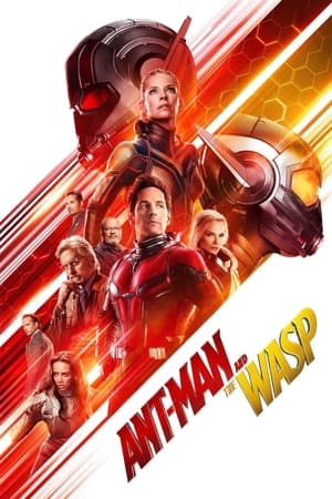 Ant-Man and the Wasp - Vj Junior