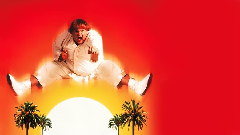 Beverly Hills Ninja - Vj Emmy