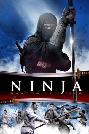 Ninja: Shadow of a Tear by Vj Jingo