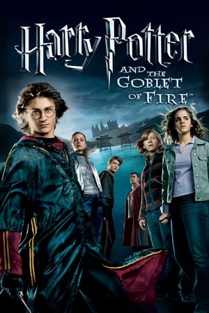 Harry Potter and the Goblet of Fire - Vj Junior