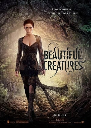 Beautiful Creatures - Vj Junior