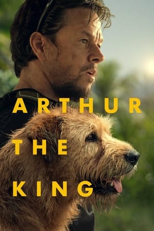 Arthur the King - Vj Junior