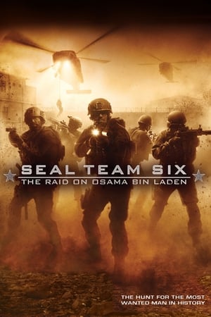 Seal Team Six: The Raid on Osama Bin Laden by Vj Junior