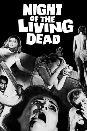 Night of the Living Dead - Vj Jingo