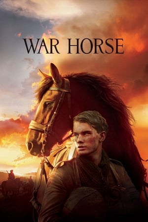 War Horse - Vj Junior