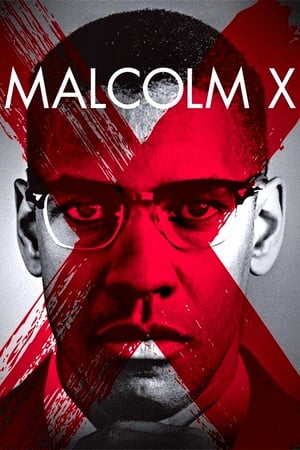 Malcolm X 1- Vj Junior