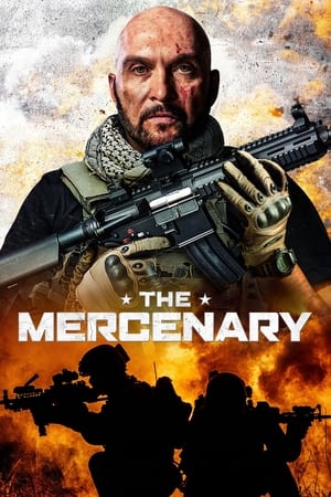 The Mercenary - Vj Jingo