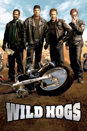 Wild Hogs - Vj Junior