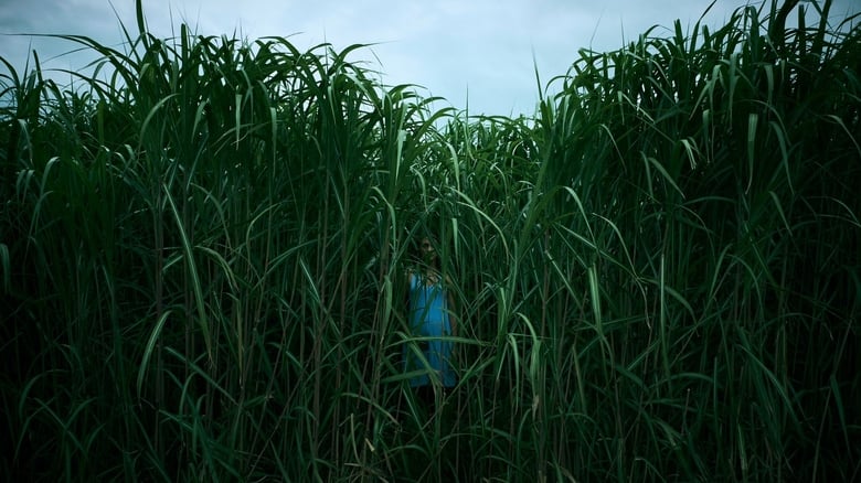 In the Tall Grass by Vj Junior