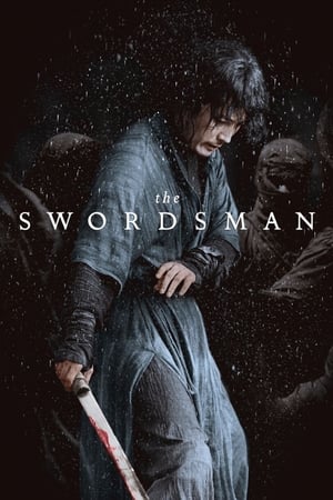 The Swordsman by Vj Junior