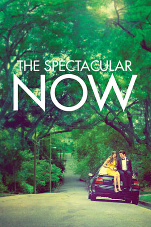 The Spectacular Now - Vj Junior