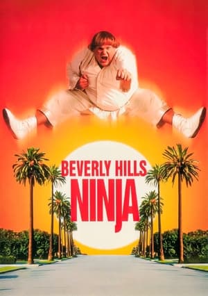 Beverly Hills Ninja - Vj Emmy